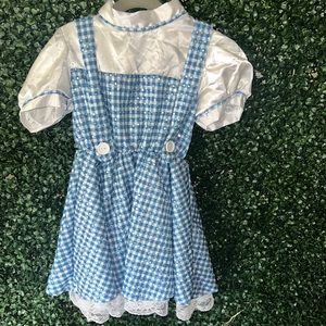 Dorothy costume dress
